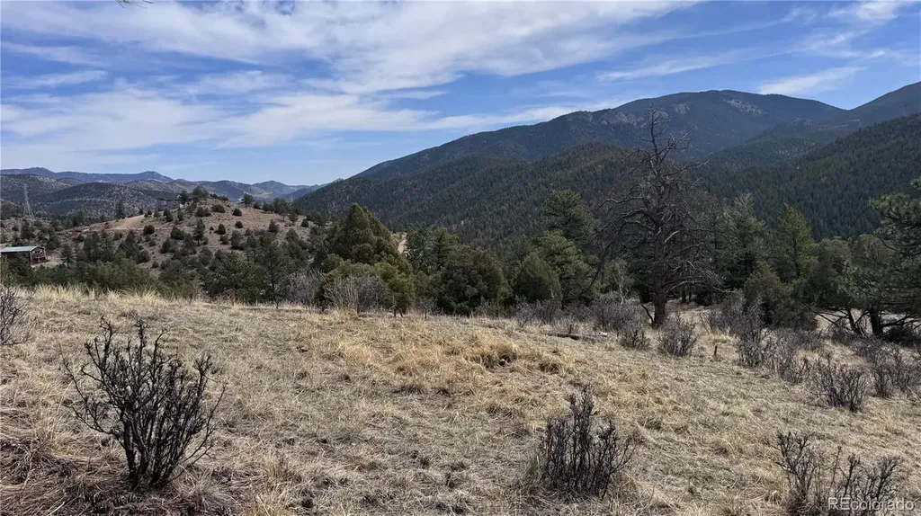 257 Wildlife Trail Idaho Springs CO 80452