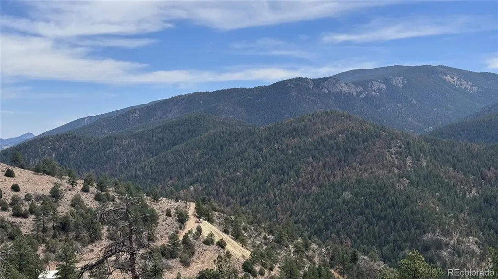 257 Wildlife Trail Idaho Springs CO 80452