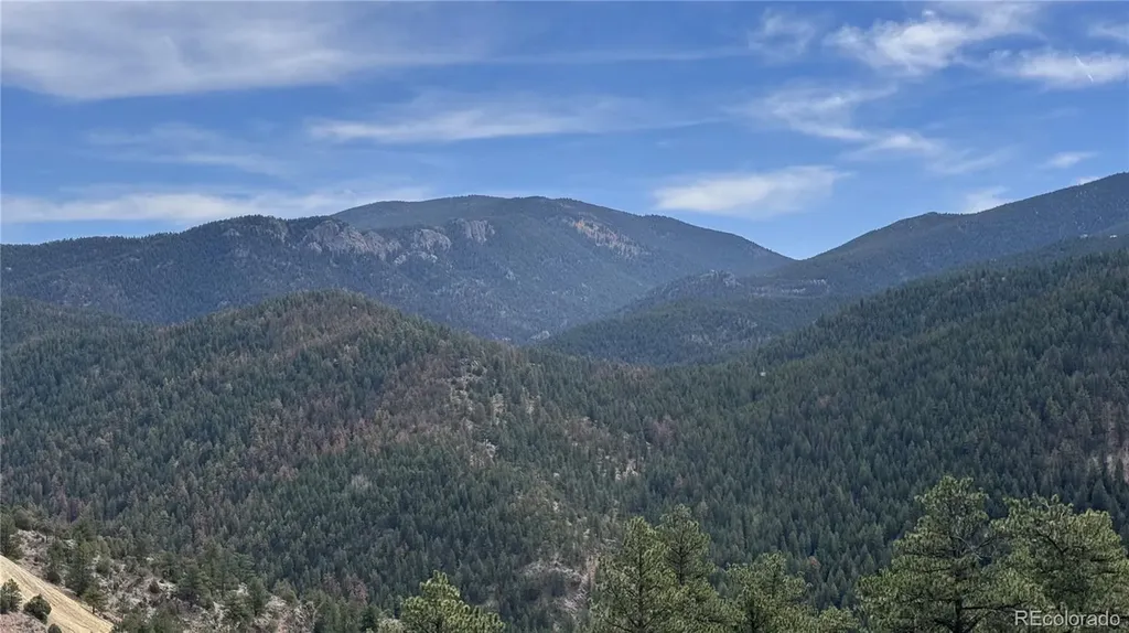 257 Wildlife Trail Idaho Springs CO 80452