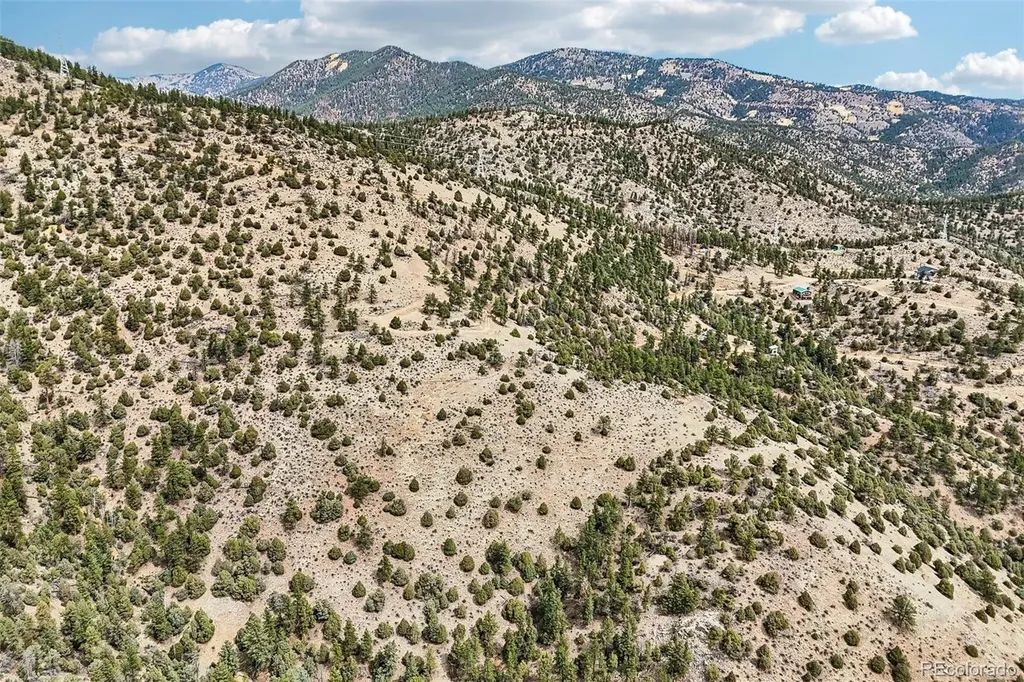 257 Wildlife Trail Idaho Springs CO 80452