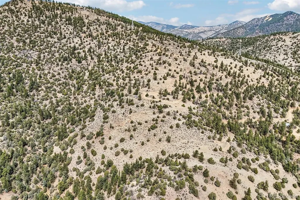 257 Wildlife Trail Idaho Springs CO 80452