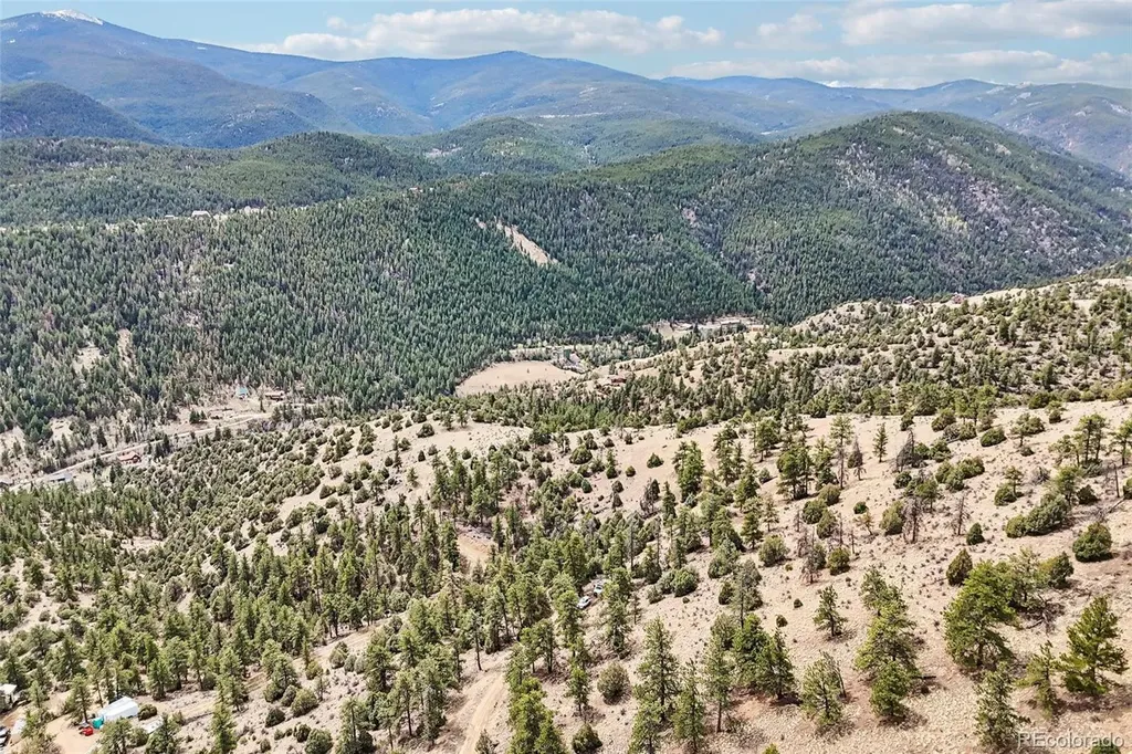 257 Wildlife Trail Idaho Springs CO 80452
