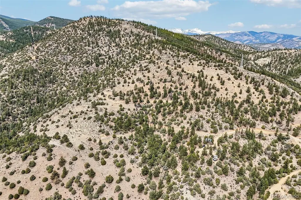 257 Wildlife Trail Idaho Springs CO 80452