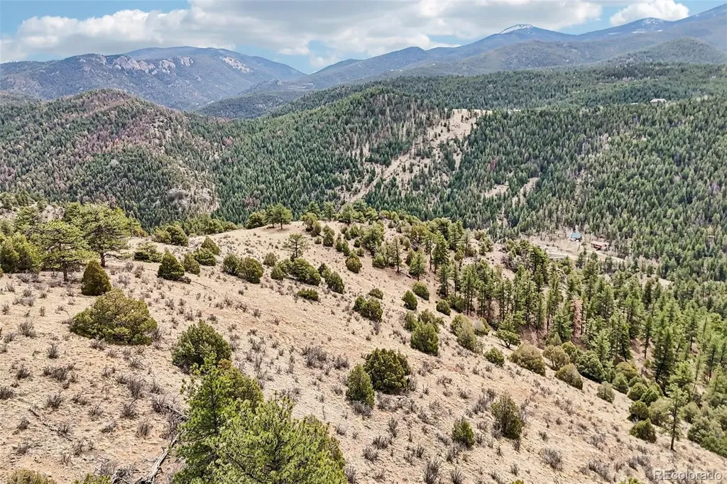 257 Wildlife Trail Idaho Springs CO 80452
