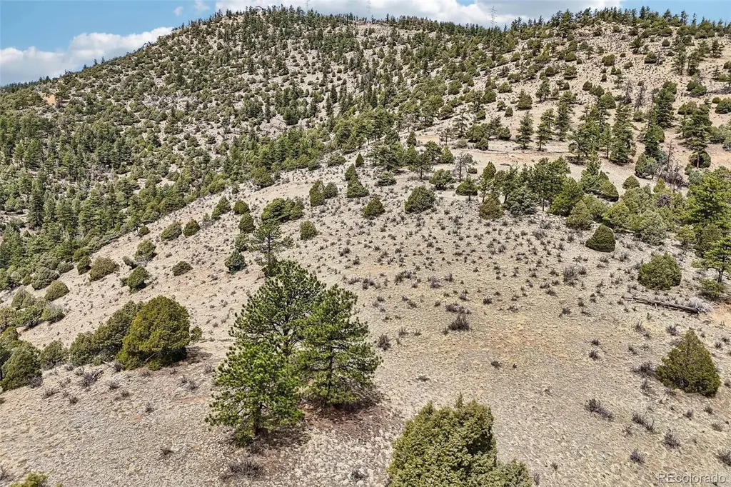 257 Wildlife Trail Idaho Springs CO 80452