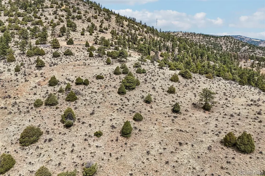 257 Wildlife Trail Idaho Springs CO 80452