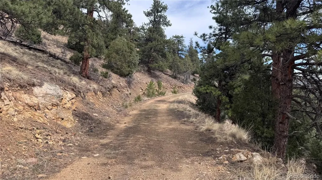 257 Wildlife Trail Idaho Springs CO 80452