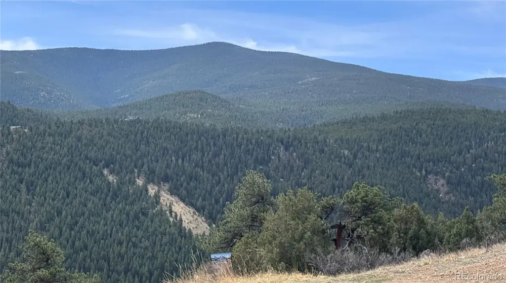 257 Wildlife Trail Idaho Springs CO 80452