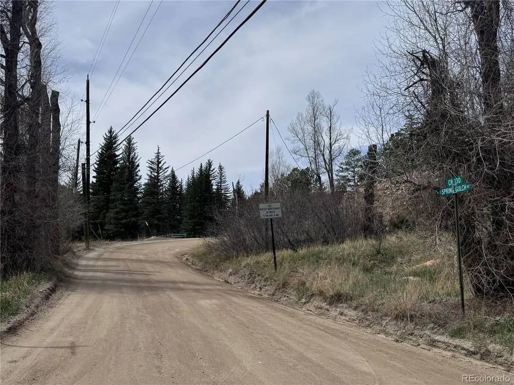 257 Wildlife Trail Idaho Springs CO 80452
