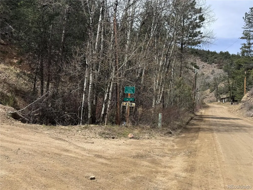 257 Wildlife Trail Idaho Springs CO 80452