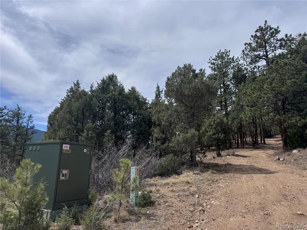 257 Wildlife Trail Idaho Springs CO 80452