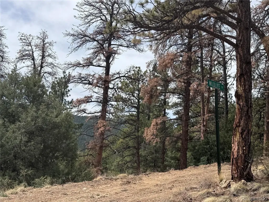257 Wildlife Trail Idaho Springs CO 80452