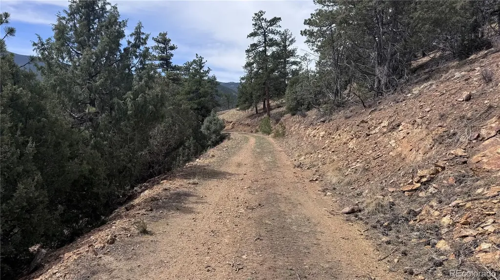 257 Wildlife Trail Idaho Springs CO 80452