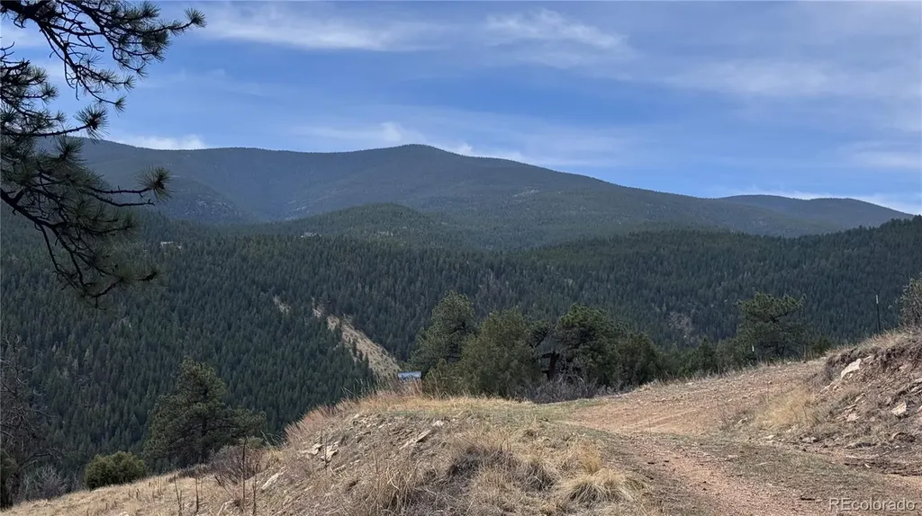 257 Wildlife Trail Idaho Springs CO 80452