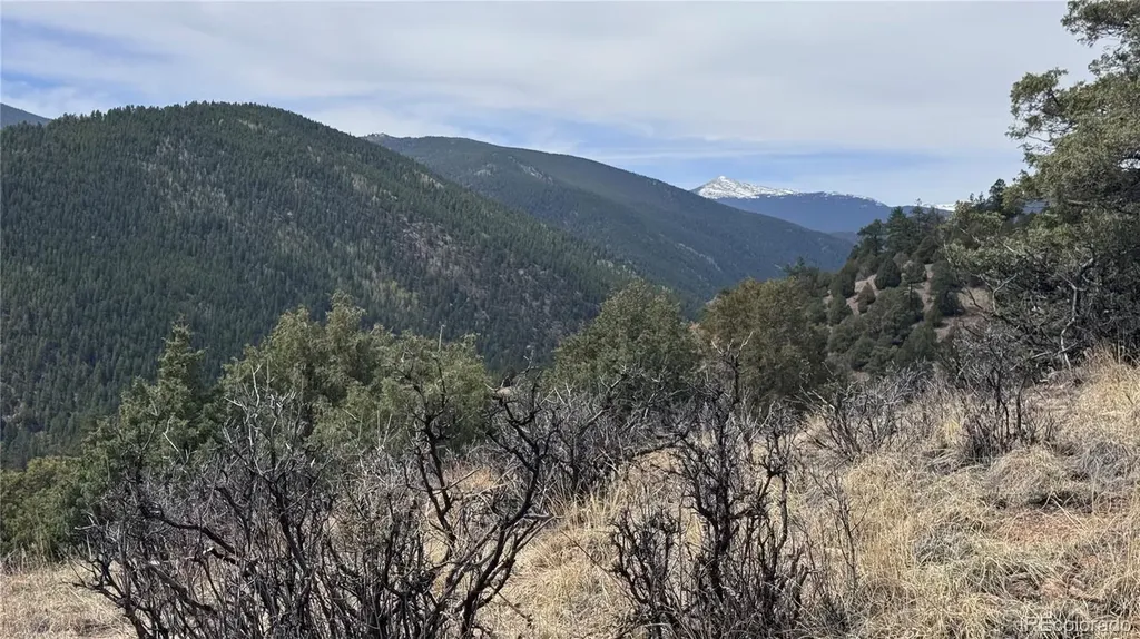257 Wildlife Trail Idaho Springs CO 80452