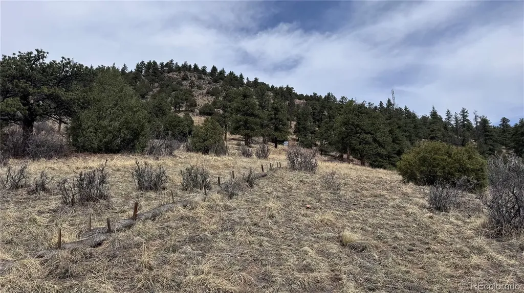 257 Wildlife Trail Idaho Springs CO 80452
