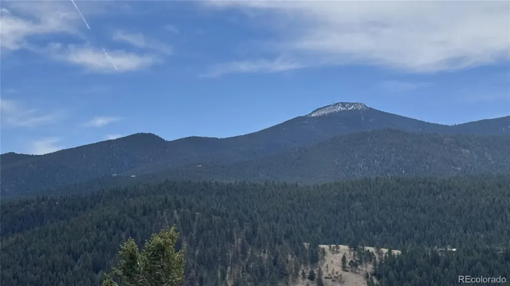 257 Wildlife Trail Idaho Springs CO 80452