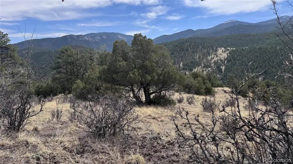 257 Wildlife Trail Idaho Springs CO 80452