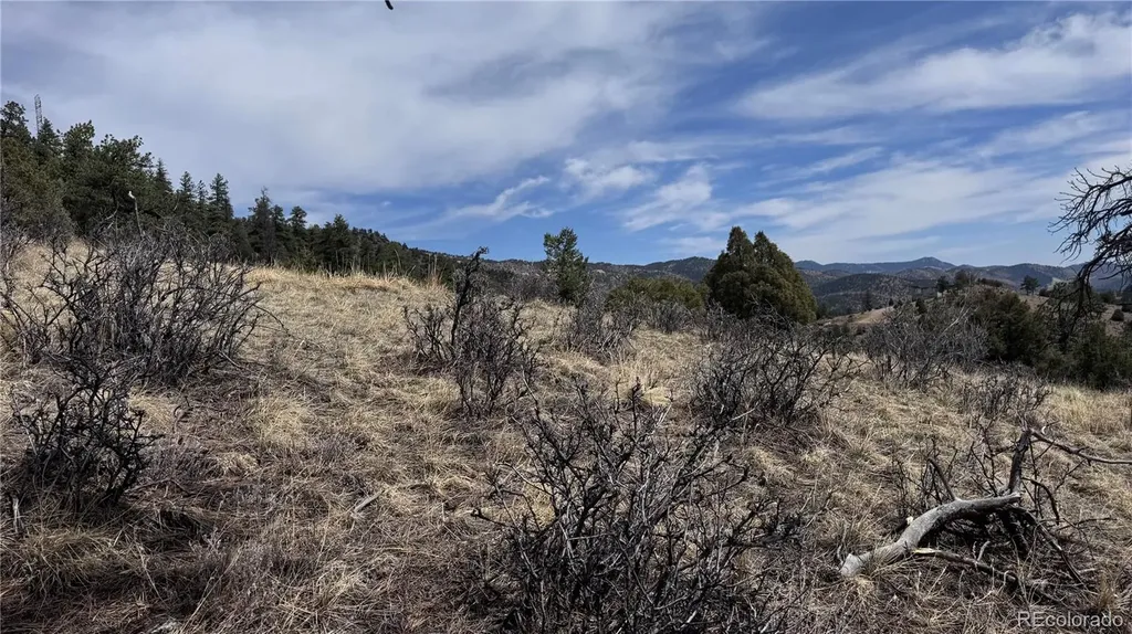 257 Wildlife Trail Idaho Springs CO 80452
