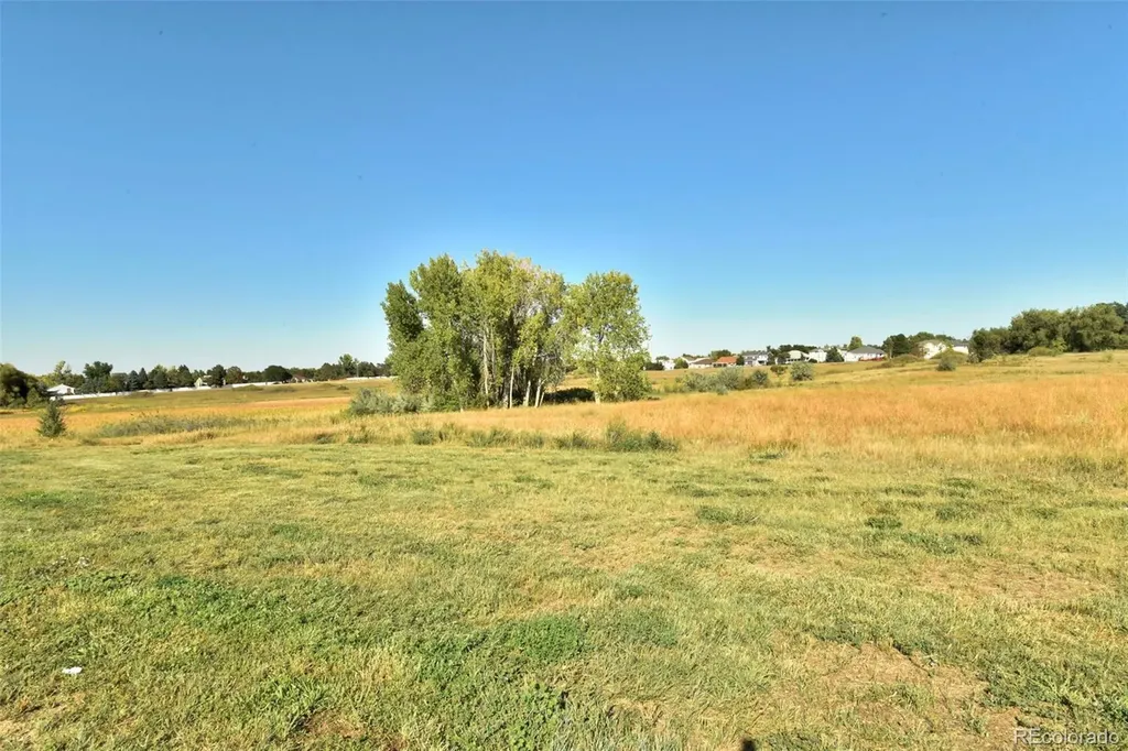 1971 W 101st Court Thornton CO 80260