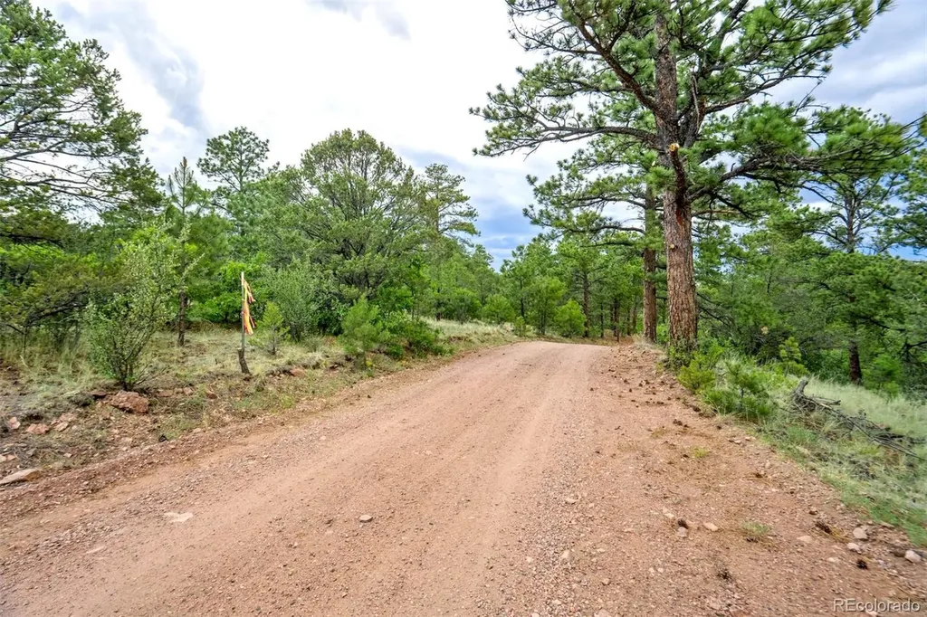 433 Antler Hill Trail Canon City CO 81212