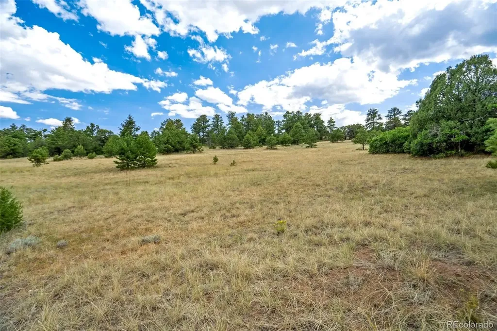 433 Antler Hill Trail Canon City CO 81212