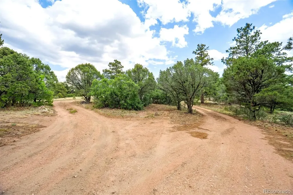 433 Antler Hill Trail Canon City CO 81212