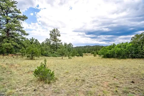 433 Antler Hill Trail Canon City CO 81212