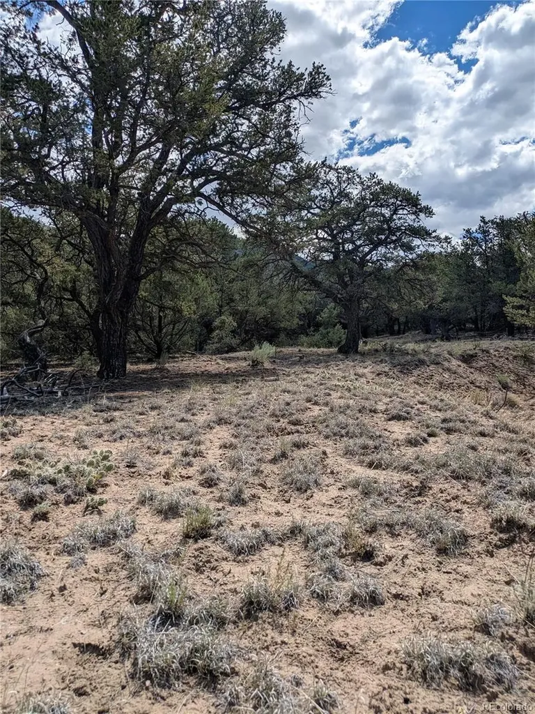 1842 Lone Pine Way Crestone CO 81131