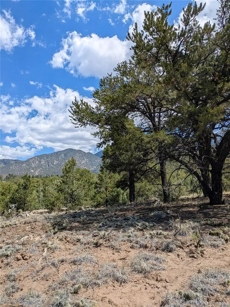 1842 Lone Pine Way Crestone CO 81131
