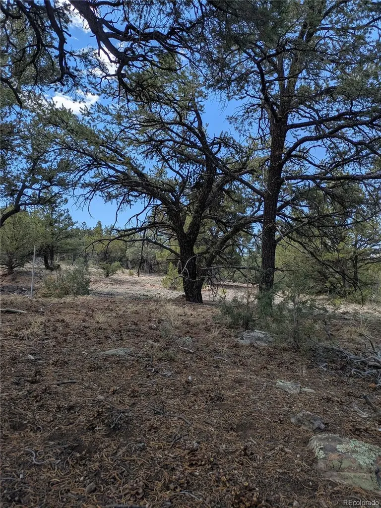 1842 Lone Pine Way Crestone CO 81131