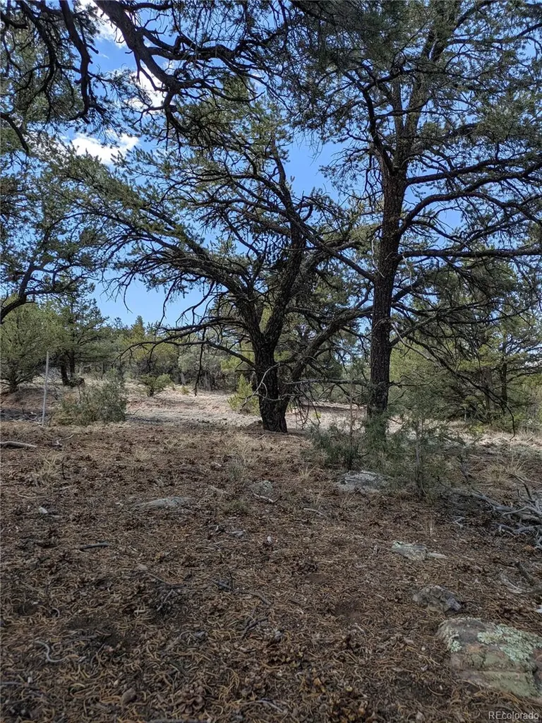 1842 Lone Pine Way Crestone CO 81131
