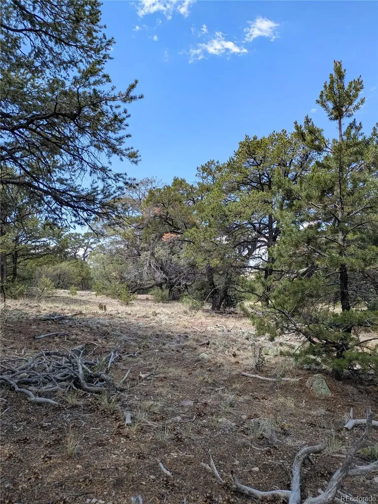 1842 Lone Pine Way Crestone CO 81131
