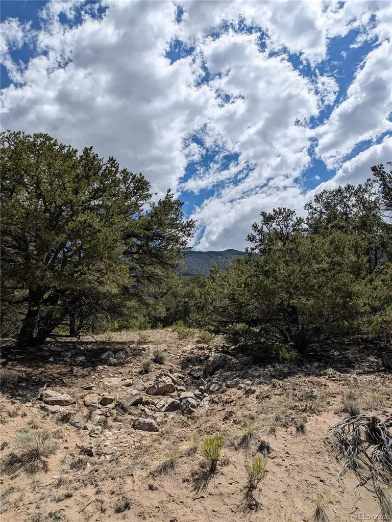 1842 Lone Pine Way Crestone CO 81131