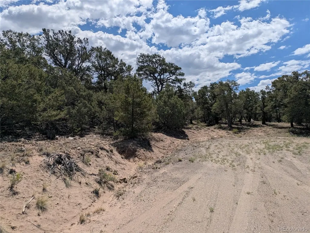 1842 Lone Pine Way Crestone CO 81131