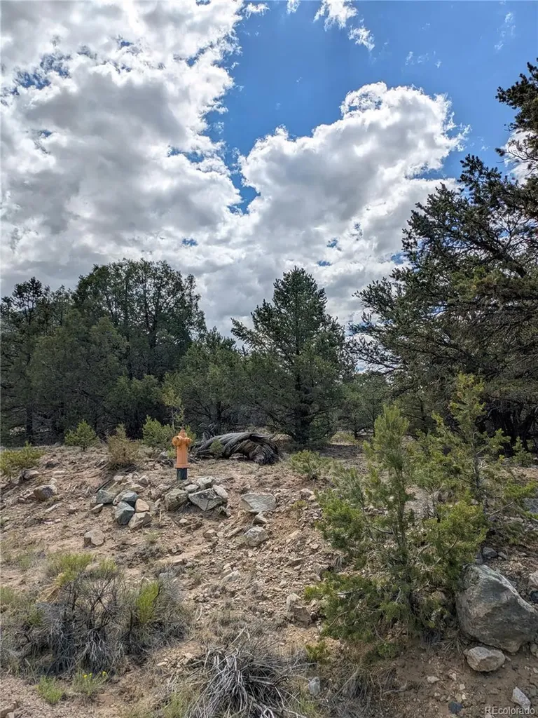 1842 Lone Pine Way Crestone CO 81131