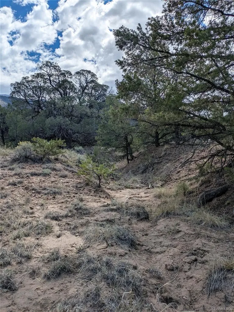 1842 Lone Pine Way Crestone CO 81131