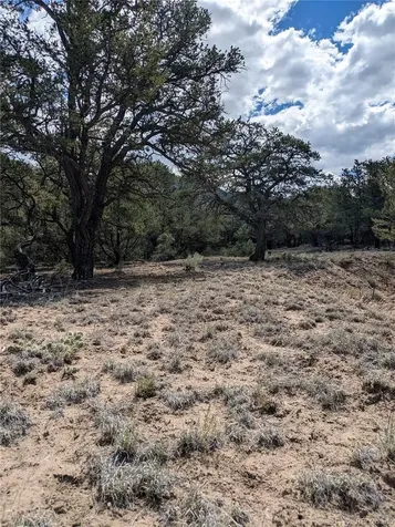 1842 Lone Pine Way Crestone CO 81131