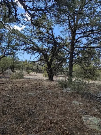 1842 Lone Pine Way Crestone CO 81131