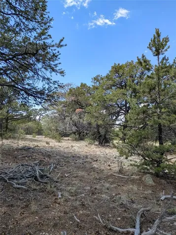 1842 Lone Pine Way Crestone CO 81131