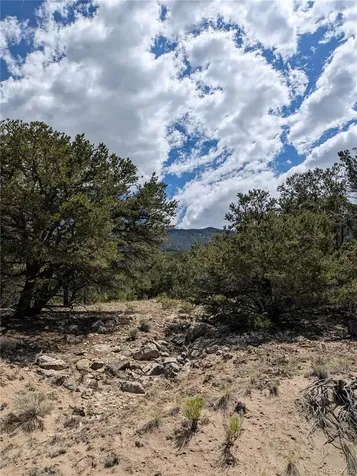 1842 Lone Pine Way Crestone CO 81131