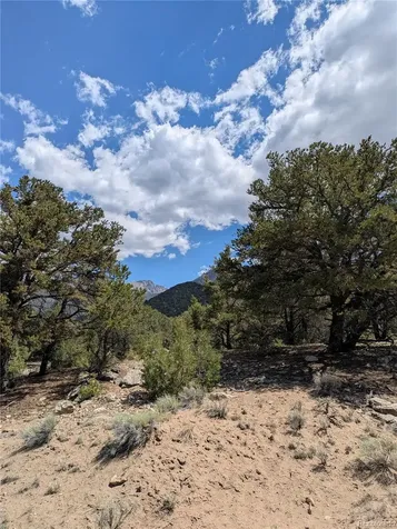 1842 Lone Pine Way Crestone CO 81131