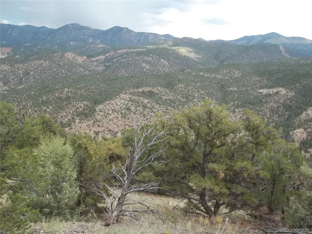 10 Denver Mc Turret CO 81201
