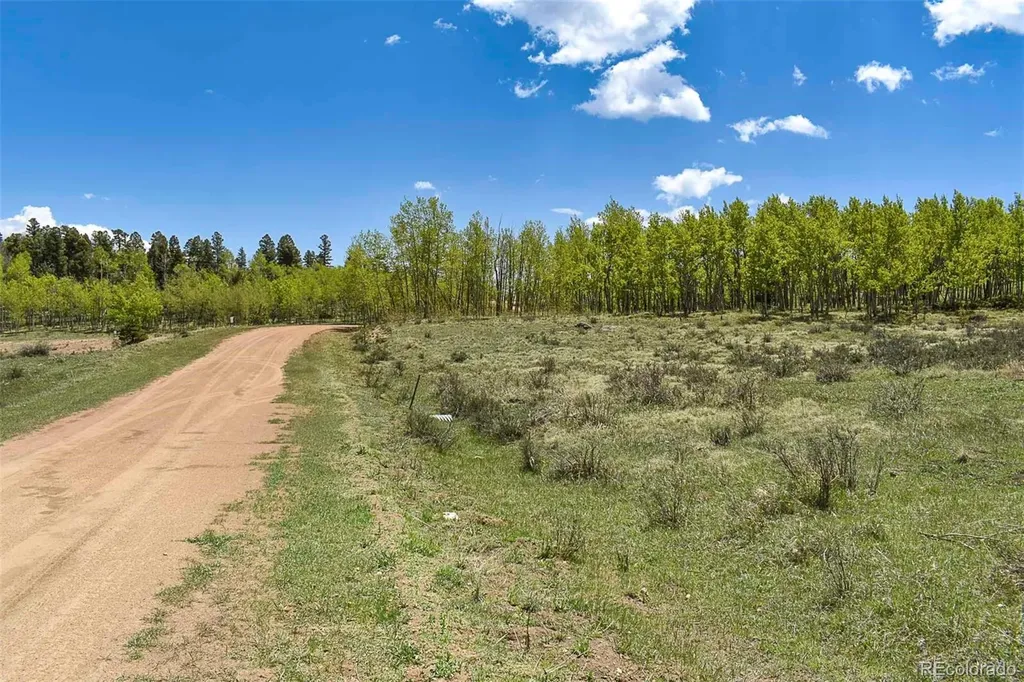 130 Rock Drive Guffey CO 80820