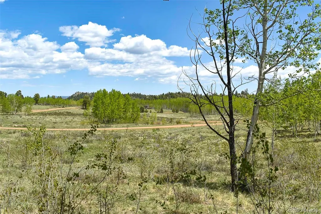 130 Rock Drive Guffey CO 80820