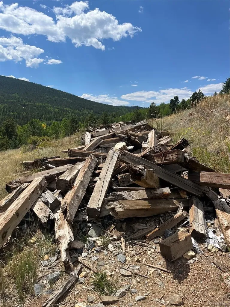 795 Russell Gulch Road Central City CO 80427