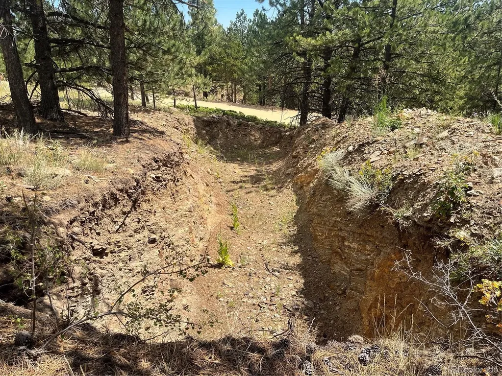 795 Russell Gulch Road Central City CO 80427