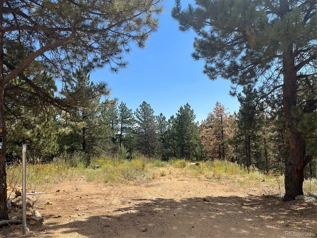 795 Russell Gulch Road Central City CO 80427