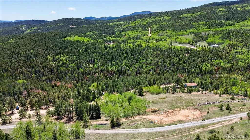 795 Russell Gulch Road Central City CO 80427