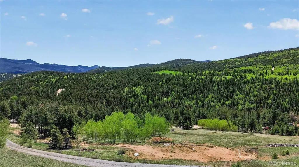 795 Russell Gulch Road Central City CO 80427